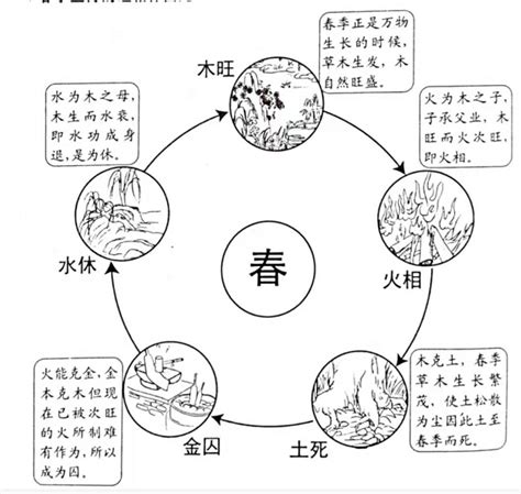 旺相休囚死|五行基础知识，“旺、相、休、囚、死”五行的五种状态